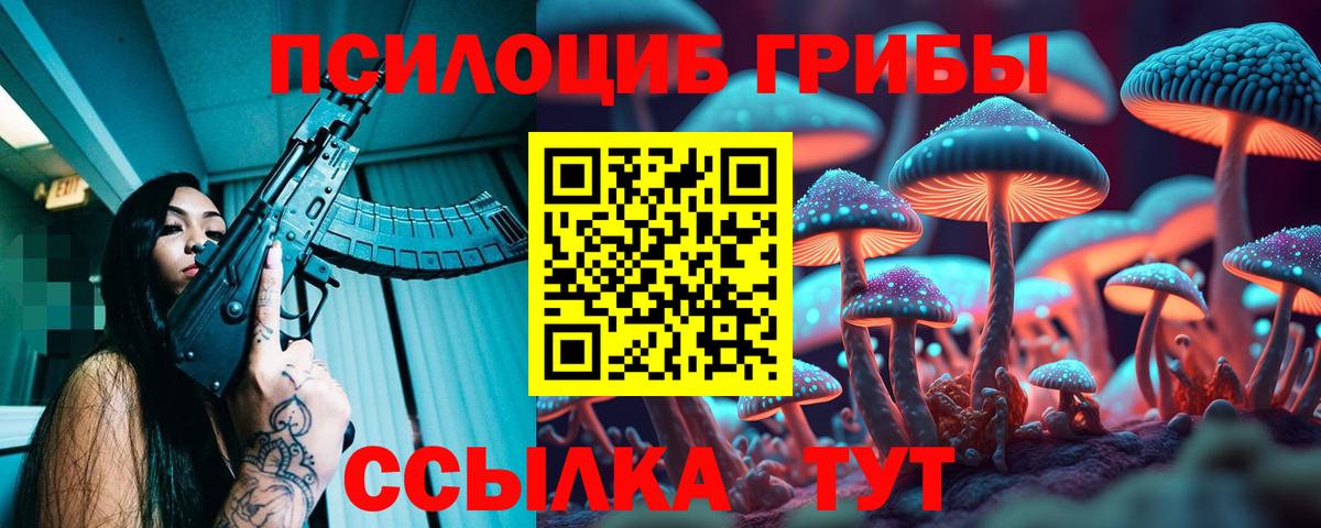 Псилоцибиновые грибы MAGIC MUSHROOMS  Вход с VPN  Камышлов 